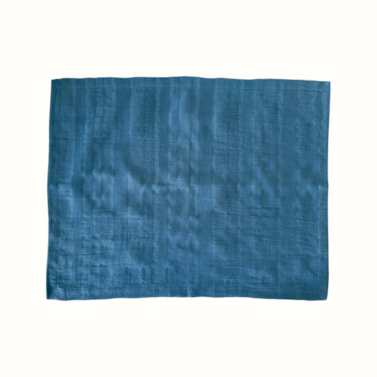 Flax Placemat Pack of 2 Costa Nova