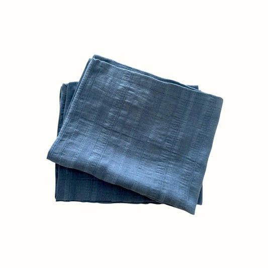 Flax Placemat Pack of 2 Costa Nova